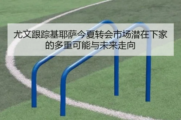 尤文跟踪基耶萨今夏转会市场潜在下家的多重可能与未来走向